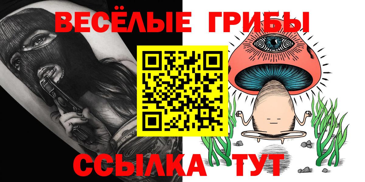 Воркута  Галлюциногенные грибы Cubensis  Вход с VPN 