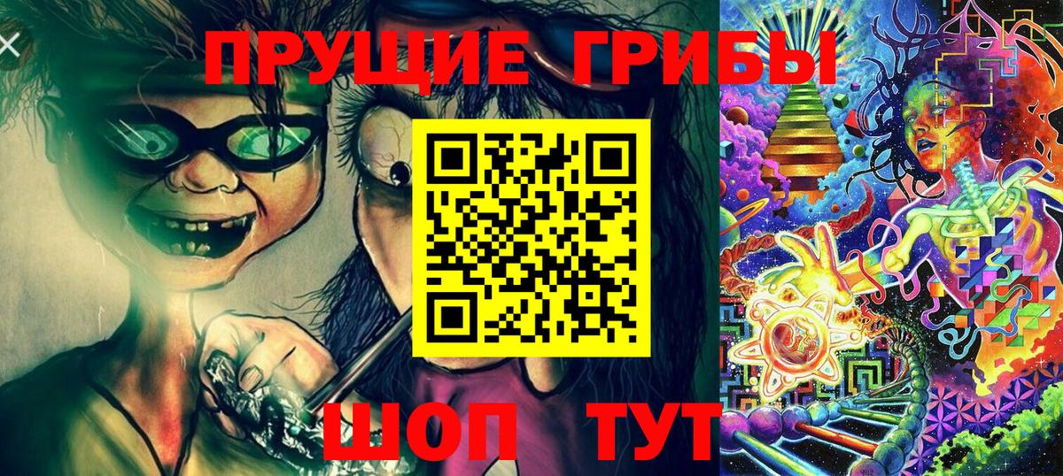 Галлюциногенные грибы Psilocybine cubensis Воркута